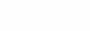 Akis Güvenlik Sistemleri Logo